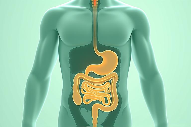 Diagram illustrating the interconnectedness of gut, brain, and immune systems