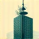 Corporate Professional Icon